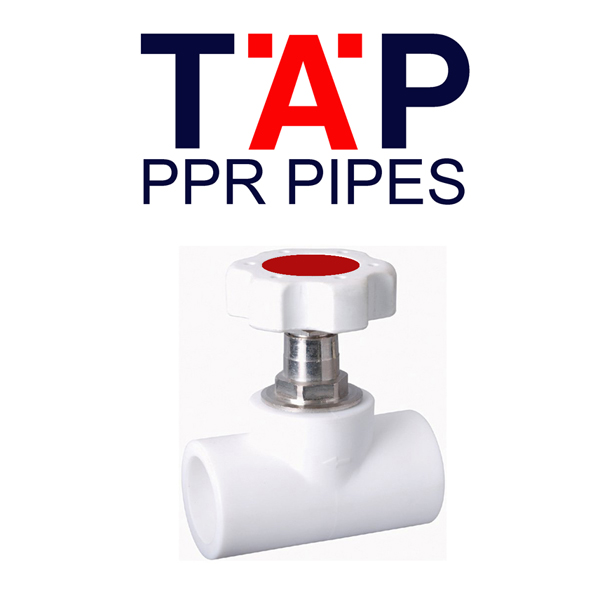 tap ppr gate valve